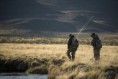 /album/galeria-de-fotos-el-roble/tao2018-03-27-2-jpg/